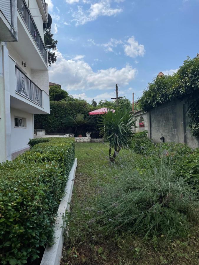 Apartment Garden Kotor Exterior photo